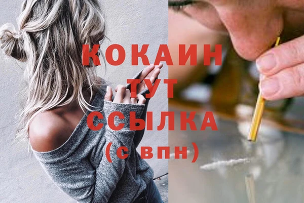 прущие грибы Алексин