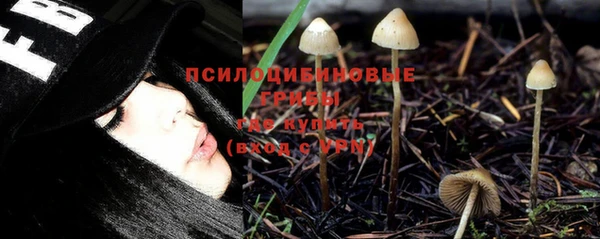 прущие грибы Алексин